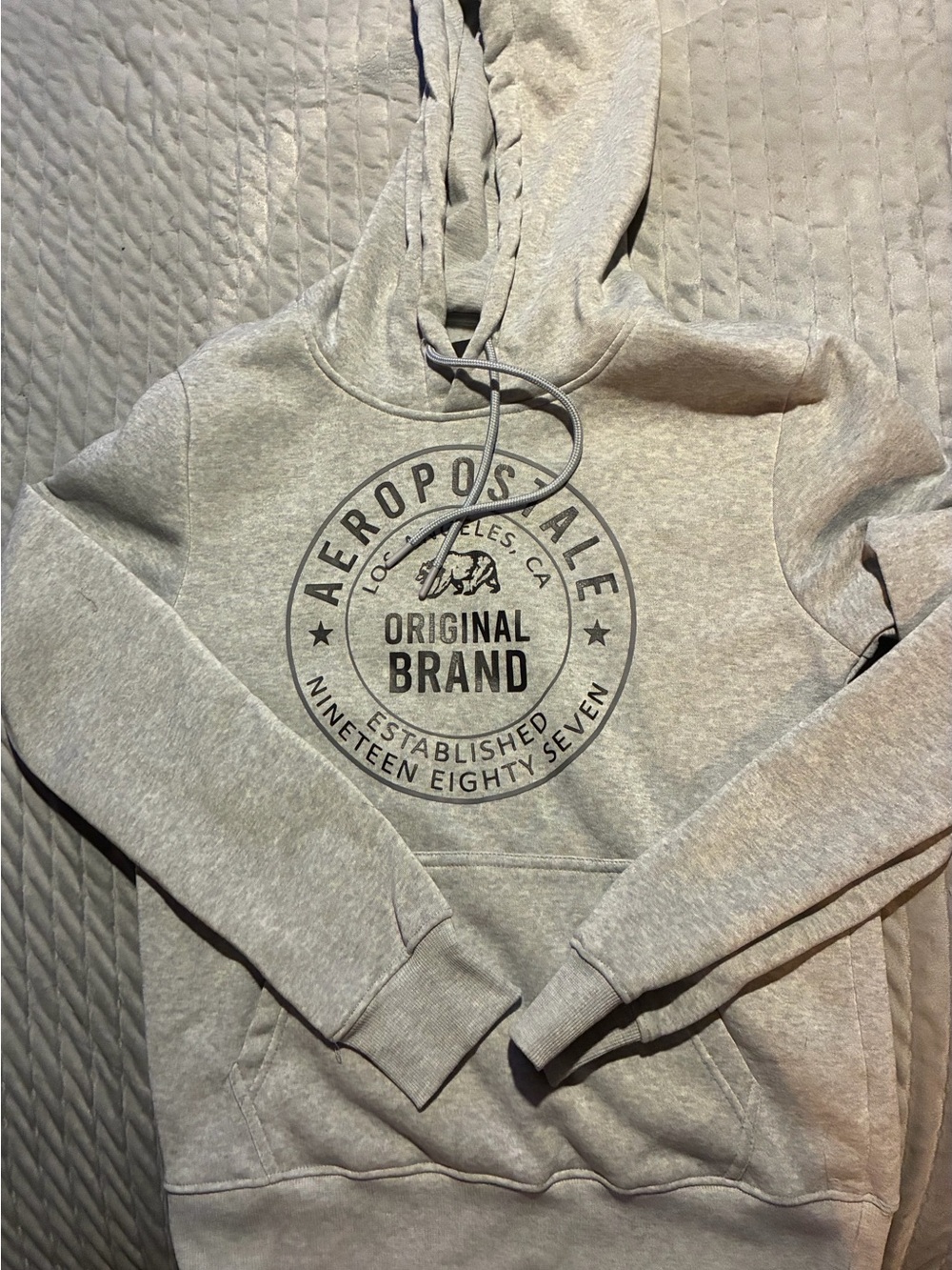 Aeropostale Men’s Gray Logo Hoodie Sweatshirt